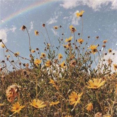 腾讯分分下载手机版