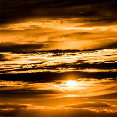 AOA体育登录入口手机app下载