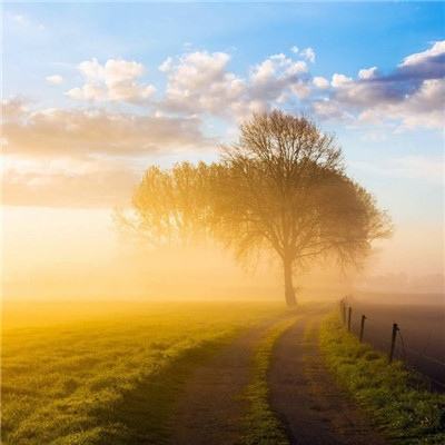 助赢软件appapp下载